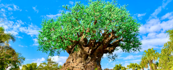 Photo of Animal Kingdom